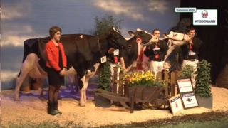Championnat adulte de la Nuit de la Holstein 2015 : championne, réserve et mention. Championnat adulte de la Nuit de la Holstein 2015 : championne, réserve et mention.