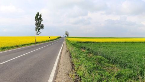 La production de biocarburants pour les transports en 2020 devrait accuser une baisse de 11,6 % par rapport à la production de 2019. (©Pixabay)