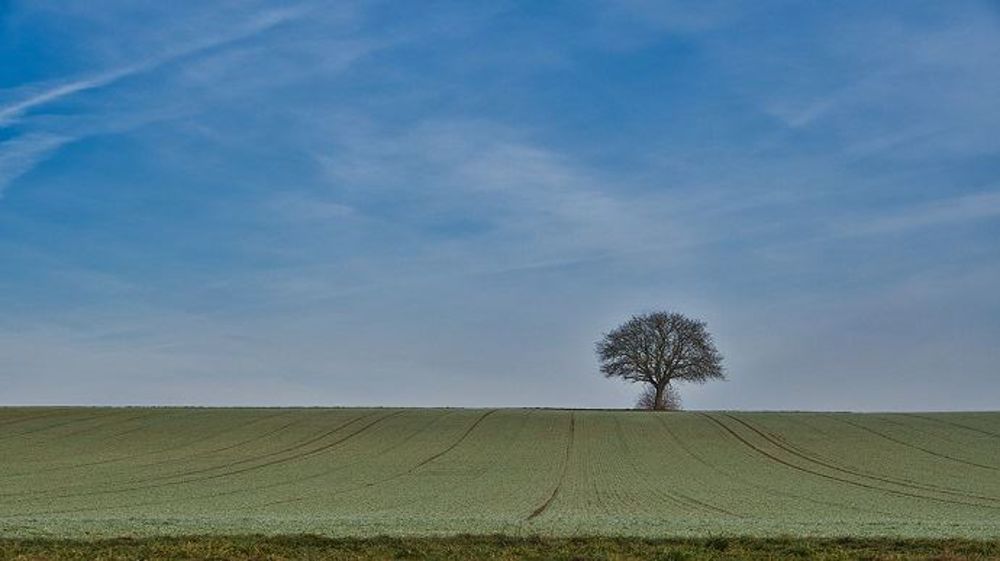 La France profite d'un climat doux à l'approche de l'hiver (©PixaBay)