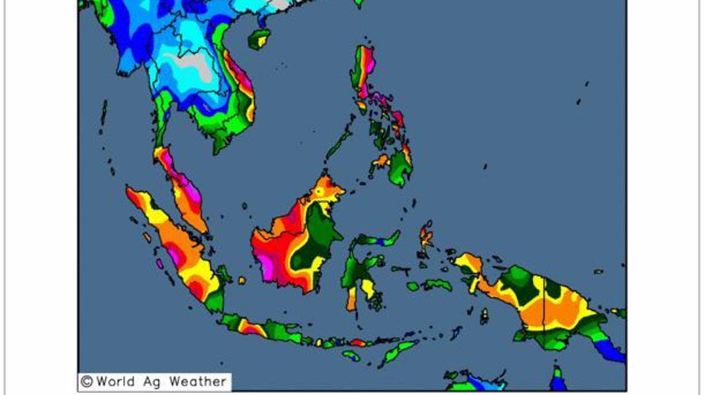 De fortes averses touchent la Malaisie et l'Indonésie. (©WorldAgWeather)