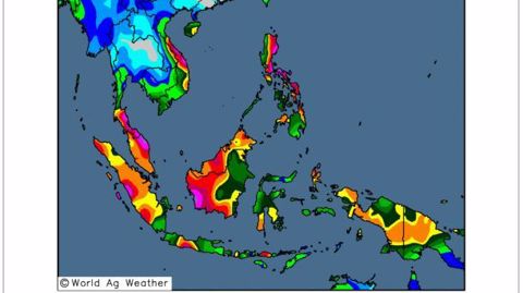 De fortes averses touchent la Malaisie et l'Indonésie. (©WorldAgWeather)