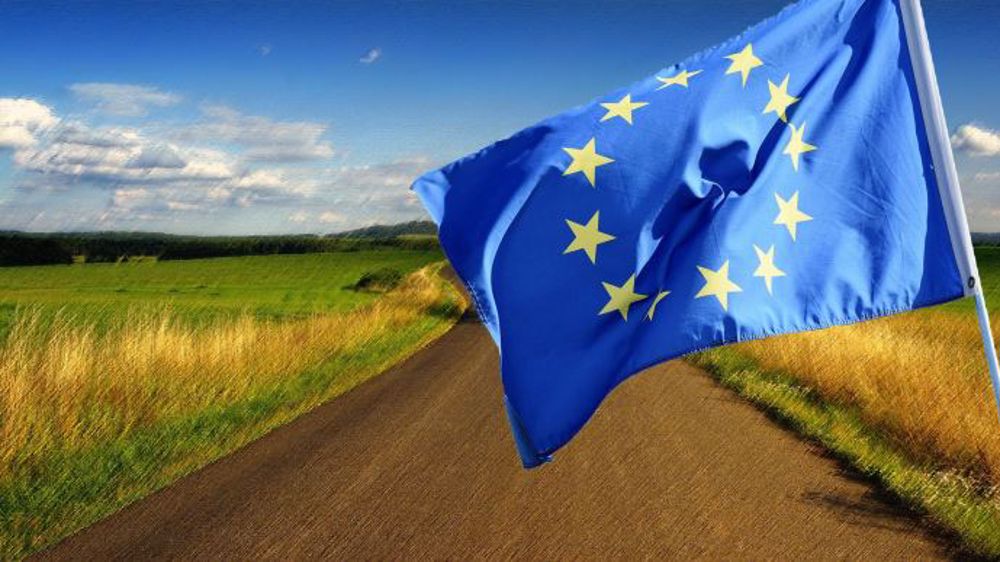 La réalisation des objectifs du Pacte Vert pourrait conduire à une baisse des revenus agricoles, selon une étude réalisée pour la Commission Agriculture du Parlement UE. (©Terre-net Média)