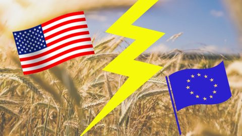 Les baisses de production que pourrait induire le Green Deal inquiètent moins les États-Unis que la perte de part de marchés potentielle, note Agriculture Stratégies. (©Terre-net Média) Les baisses de production que pourrait induire le Green Deal inquiètent moins les États-Unis que la perte de part de marchés potentielle, note Agriculture Stratégies. (©Terre-net Média)