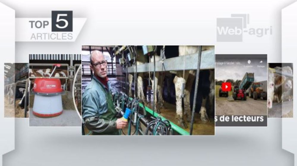 Articles les plus lus sur Web-agri cette semaine. (©Terre-net Média)