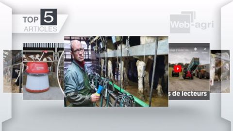 Articles les plus lus sur Web-agri cette semaine. (©Terre-net Média)