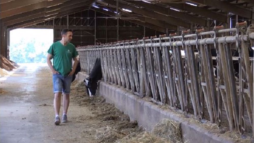 Aujourd'hui, pour diminuer sa charge de travail, Jonathan envisage de déléguer davantage les cultures à l'entreprise et l'élevage à ses salariés. (©idele)