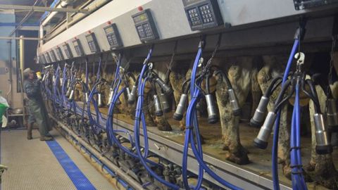 Le matériel de traite est le premier facteur impactant la cryoscopie du lait. À vérifier donc régulièrement. (©Terre-net Média) Le matériel de traite est le premier facteur impactant la cryoscopie du lait. À vérifier donc régulièrement. (©Terre-net Média)