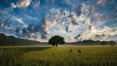 Malgré quelques périodes très sèches plus particulièrement en juillet avec un nouveau record de faiblesse mensuelle de précipitations, l'année 2020 ne dégage pas un déficit particulier. (©Pixabay) Malgré quelques périodes très sèches plus particulièrement en juillet avec un nouveau record de faiblesse mensuelle de précipitations, l'année 2020 ne dégage pas un déficit particulier. (©Pixabay)