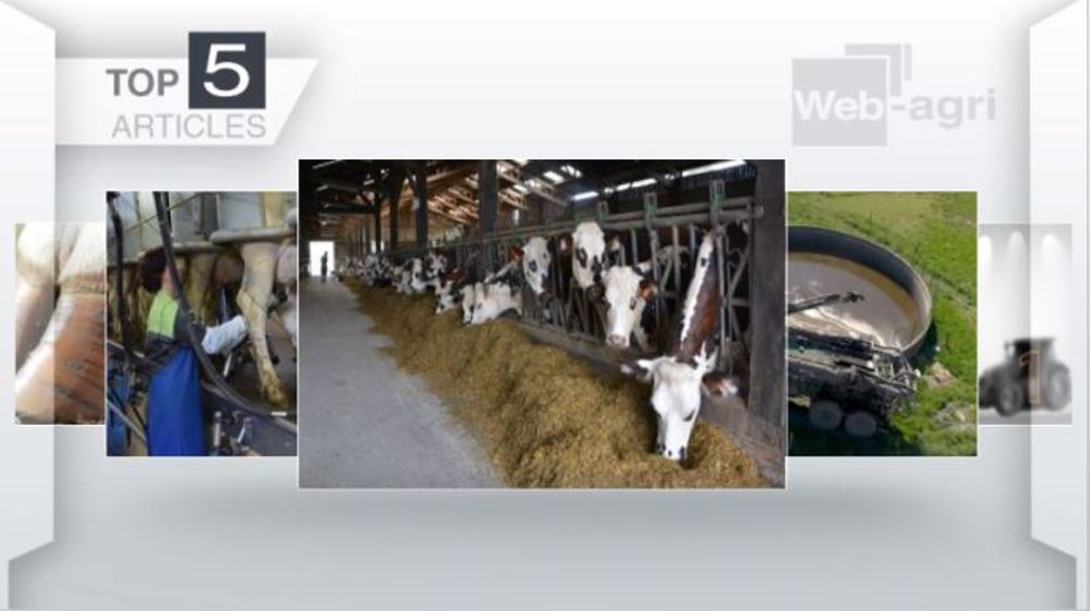 Articles les plus lus sur Web-agri cette semaine. (©Terre-net Média)