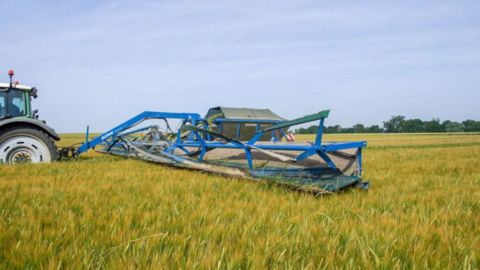 Récolter les mauvaises herbes avec le Zürn Top Cut Collect pour épuiser le stock Récolter les mauvaises herbes avec le Zürn Top Cut Collect pour épuiser le stock