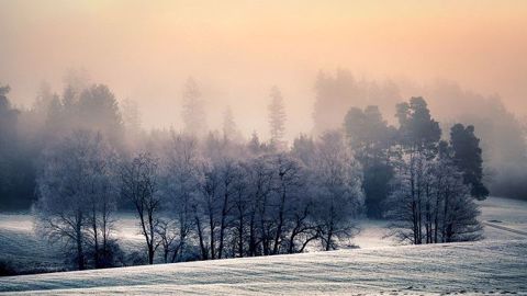Les températures pourraient fortement baisser d'ici à la fin du mois de janvier. (©Pixabay) Les températures pourraient fortement baisser d'ici à la fin du mois de janvier. (©Pixabay)