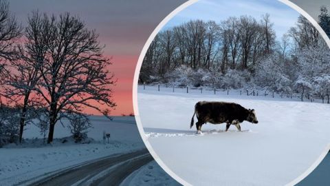 L'est du pays sous la neige ce vendredi, la moitié nord demain ? L'est du pays sous la neige ce vendredi, la moitié nord demain ?