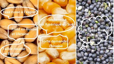 Pourquoi subitement une telle envolée des cours du blé, maïs et colza ?(©Pixabay // Création Terre-net Média) Pourquoi subitement une telle envolée des cours du blé, maïs et colza ?(©Pixabay // Création Terre-net Média)