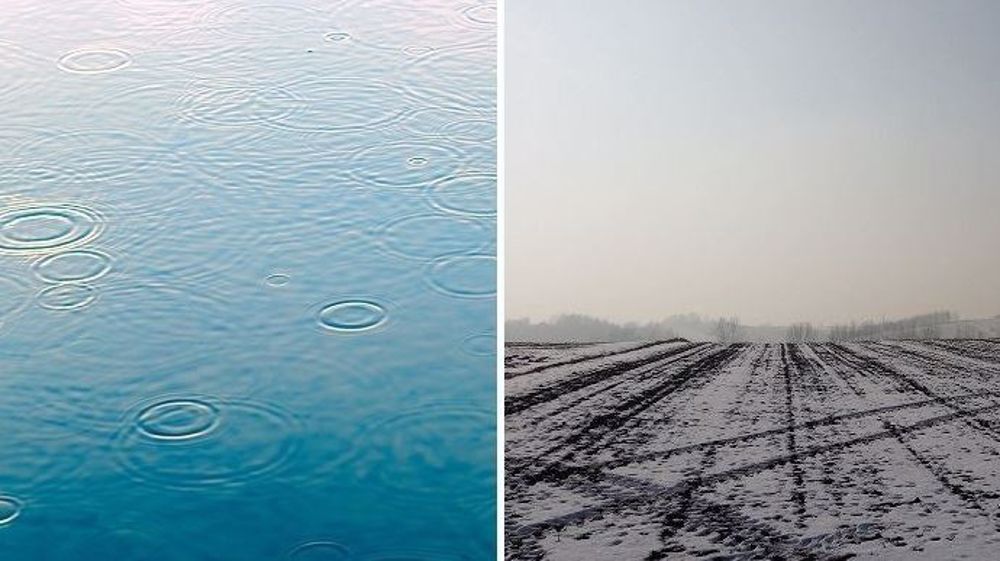 Les cultures bénéficient de l'arrivée de pluies en Amérique du Sud et de la fin de la vague de froid dans les pays de la mer Noire. (©Pixabay // Création Terre-net Média)