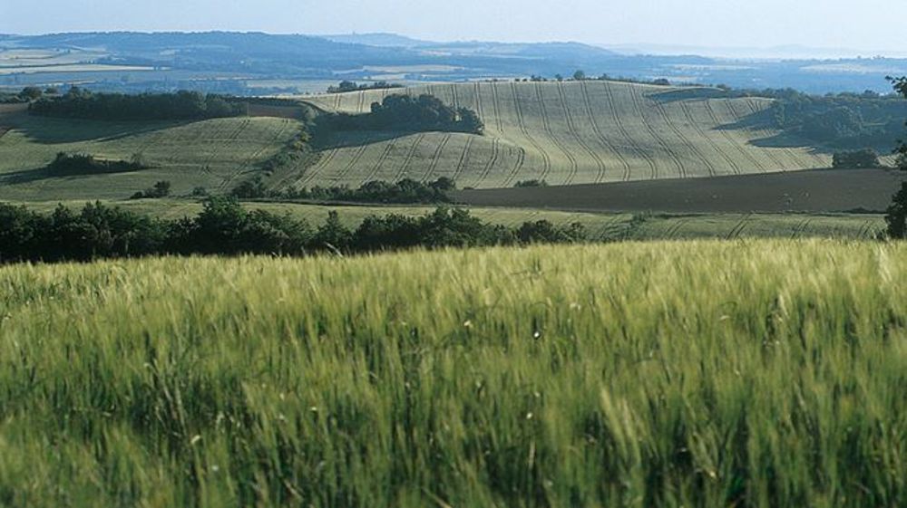 « Afin de réduire les usages de ces produits, l’État veut garantir que les activités de conseil aux agriculteurs concernant l’utilisation de ces produits seront indépendantes de tout intérêt commercial ». (©Arvalis-Institut du végétal)