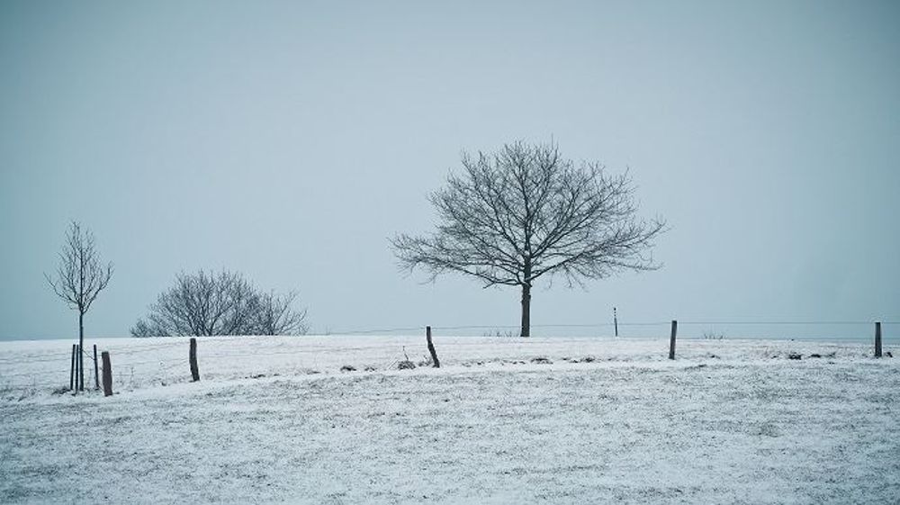Les cultures russes et ukrainiennes profitent d'un bonne couverture neigeuse. (©PixaBay)
