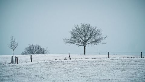 Les cultures russes et ukrainiennes profitent d'un bonne couverture neigeuse. (©PixaBay) Les cultures russes et ukrainiennes profitent d'un bonne couverture neigeuse. (©PixaBay)