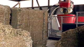 Même par temps chaud, les cubes d'ensilage stockés dans la cuisine restent relativement stables. (©Lely) Même par temps chaud, les cubes d'ensilage stockés dans la cuisine restent relativement stables. (©Lely)