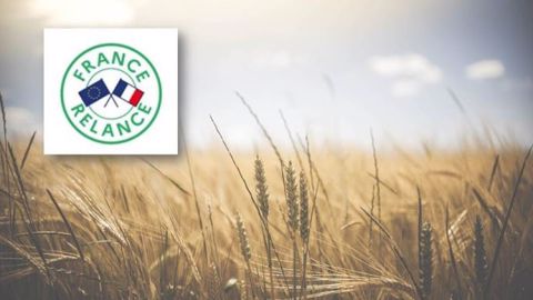 Plan de relance : deux dispositifs d'aides aux agroéquipements sont déjà fermés, victimes de leur succès (©Terre-net Média/Pixabay) Plan de relance : deux dispositifs d'aides aux agroéquipements sont déjà fermés, victimes de leur succès (©Terre-net Média/Pixabay)