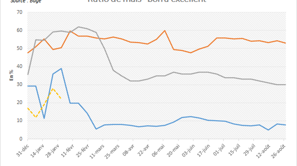 Taux de maïs argentins "bon à excellent".
