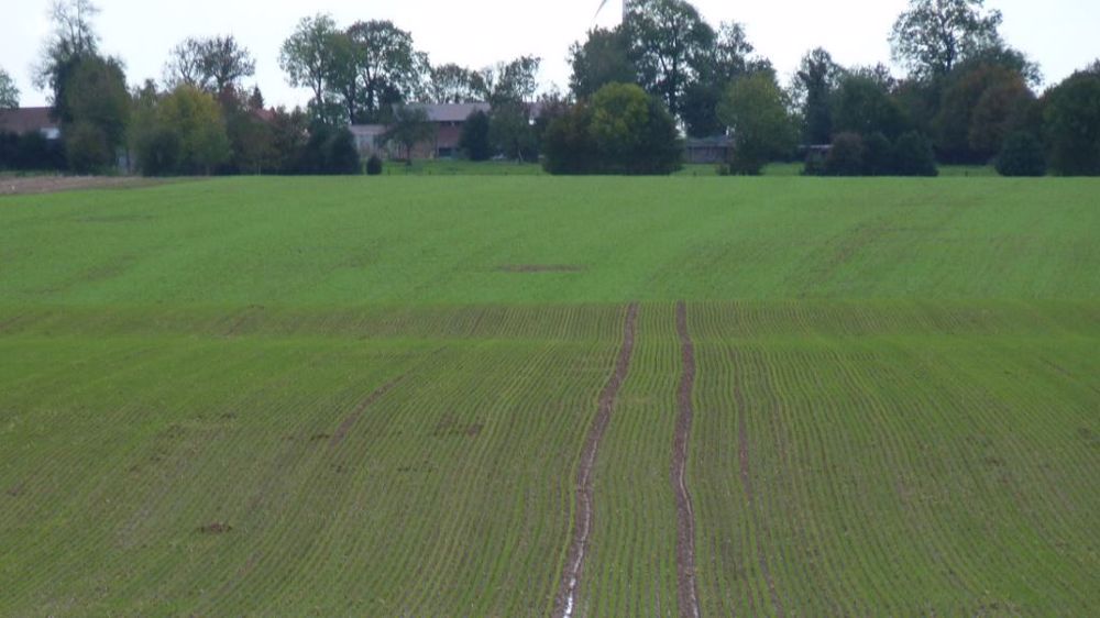 Deux propositions de loi pour mieux encadrer le foncier agricole sont dans les tuyaux. (©Terre-net Média)