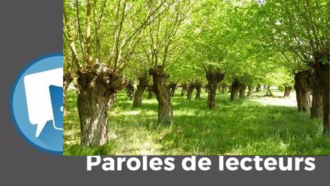 « Je ne vous dis pas le boulot pour nettoyer derrière ! », s'exclame Patrice Brachet. (©Philippe Van Lerberghe - IDF // Création Terre-net Média) « Je ne vous dis pas le boulot pour nettoyer derrière ! », s'exclame Patrice Brachet. (©Philippe Van Lerberghe - IDF // Création Terre-net Média)