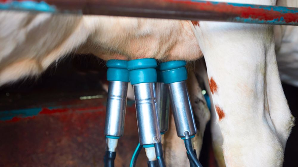 Travailler avec des produits d'hygiène de traite avec un bon rapport qualité/prix