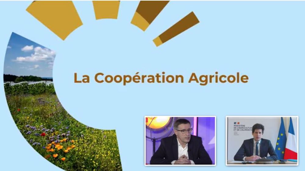 La Coopération agricole a organisé le 18 février une conférence en ligne sur l'économie ZEN : "zéro émission nette". (©Terre-net Média)