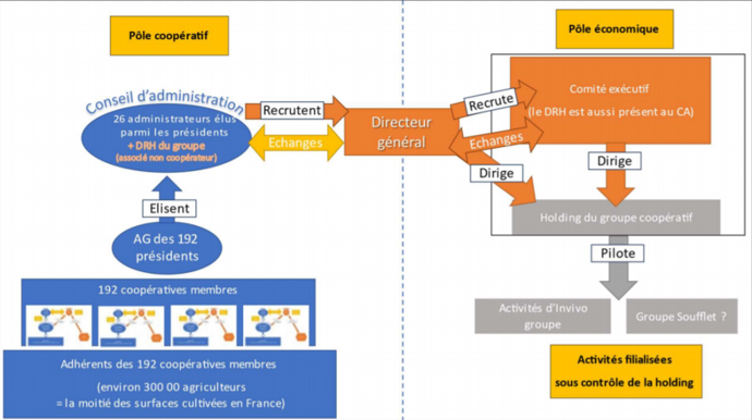  Figure 2 : Fonctionnement de l’union coopérative InVivo