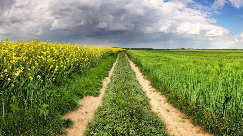 Quels sont les défis de l'agriculture française ? (©Pixabay)