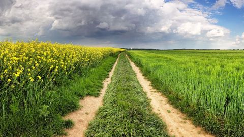 Quels sont les défis de l'agriculture française ? (©Pixabay) Quels sont les défis de l'agriculture française ? (©Pixabay)