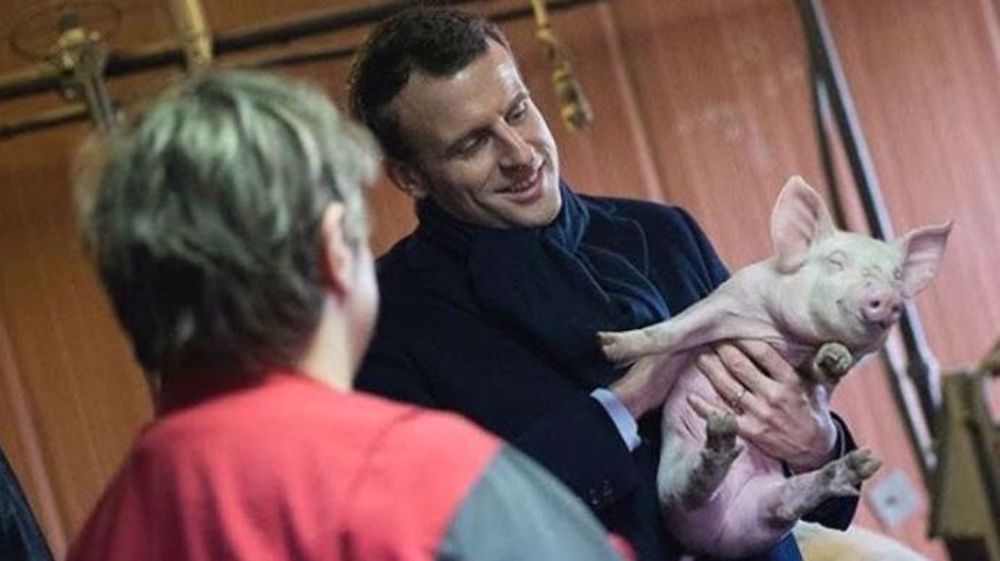 À défaut de salon de l'agriculture, Emmanuel Macron, s'est rendu en Côte d'Or à la ferme d'Étaules (©Terre-net Média)