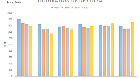 Trituration européenne de colza.