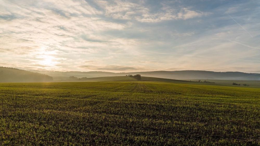 « Les surfaces en prairies permanentes ont fortement diminué sur le bassin Seine-Normandie. » (©torstensimon de Pixabay)