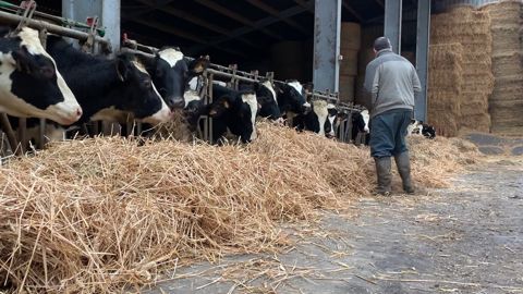 Déléguer certaines tâches dans les champs comme dans l'élevage peut permettre de diminuer son temps de travail. (©Terre-net Média) Déléguer certaines tâches dans les champs comme dans l'élevage peut permettre de diminuer son temps de travail. (©Terre-net Média)