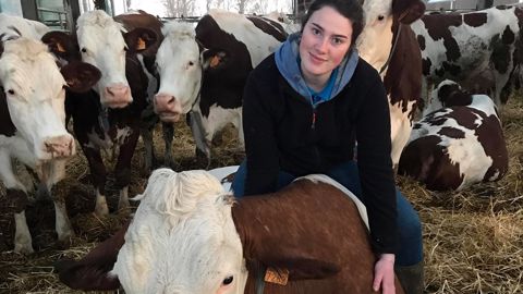 « Mon projet : réintroduire l'élevage sur la ferme familiale céréalière » « Mon projet : réintroduire l'élevage sur la ferme familiale céréalière »