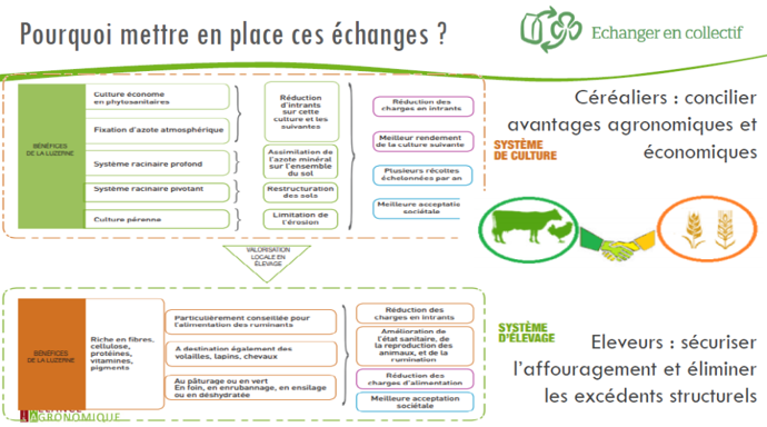 Graphique échanges luzerne céréaliers et éleveurs
