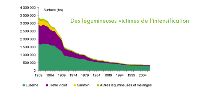 Graphique chute des légumineuses en France