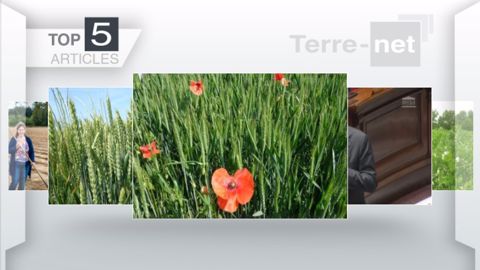 Articles les plus lus sur Terre-net cette semaine. (©Terre-net Média)