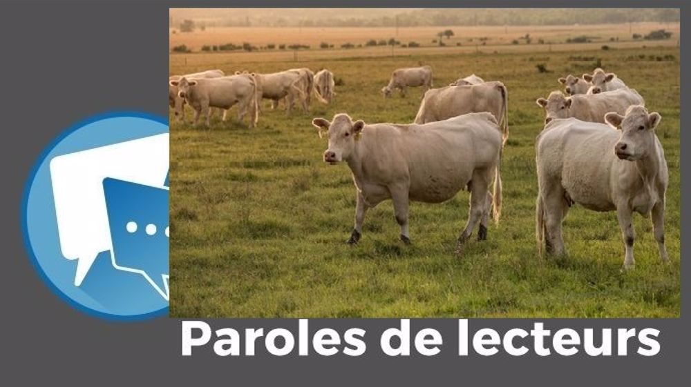  « Des prix pour que tous les éleveurs vivent de leur métier, ça ce serait juste », juge Frank Dufour. (©Pixabay // Création Terre-net Média)