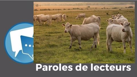 « Des prix pour que tous les éleveurs vivent de leur métier, ça ce serait juste », juge Frank Dufour. (©Pixabay // Création Terre-net Média) « Des prix pour que tous les éleveurs vivent de leur métier, ça ce serait juste », juge Frank Dufour. (©Pixabay // Création Terre-net Média)