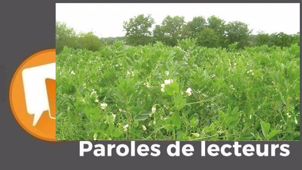  « S'approprier les bons mélanges, afin de maximiser les profits pour le sol et la culture suivante », suggère Jean-Pi. (©Arvalis-Institut du végétal // Création Terre-net Média)