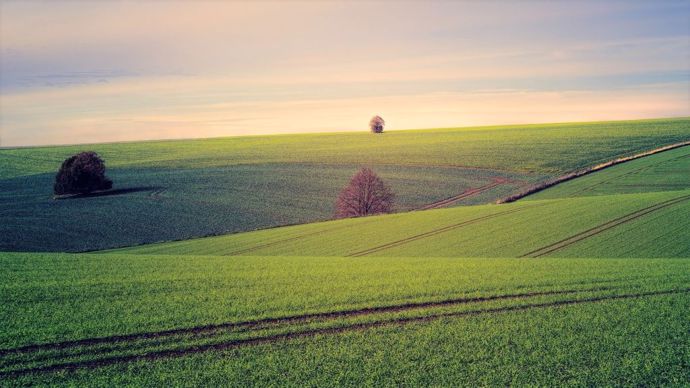 Les prix du foncier agricoles varient très fortement entre les pays européens.