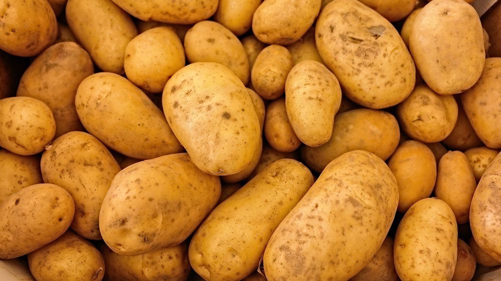 Les exportations de pommes de terre ont poursuivi leur baisse en janvier 2021 : - 5 %. (©Pixabay)