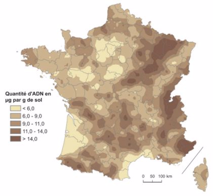 Carte de la quantité d’ADN microbien dans le sol (µg/g de sol)
