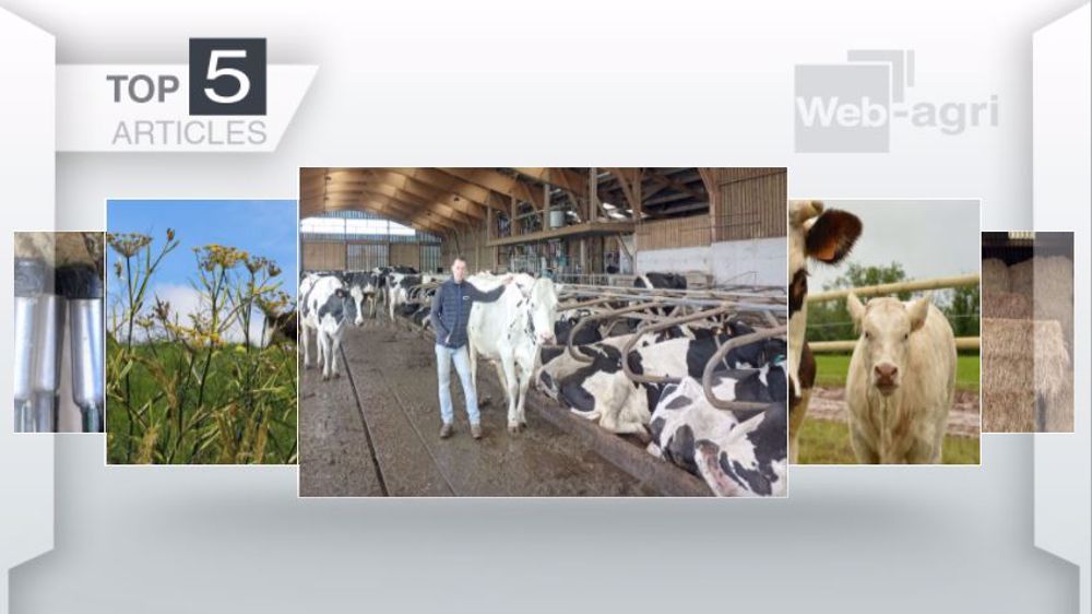 Top articles de Web-agri cette semaine. (©Terre-net Média)