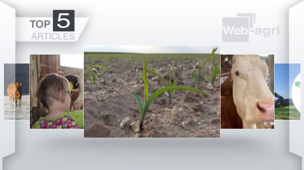 Top articles de Web-agri cette semaine. (©Terre-net Média)