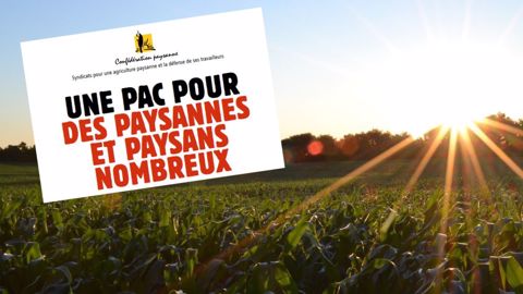 La Confédération paysanne regrette que ni le ministre, ni les autres syndicats n'évoquent les enjeux sociaux du plan stratégique national de la future Pac. (©Pixabay/Confédération paysanne)