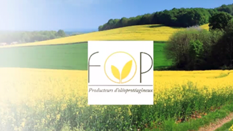 Organisation, moyens de production, plan protéines : les priorités de la Fop Organisation, moyens de production, plan protéines : les priorités de la Fop