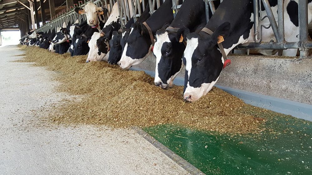 Sani-Feed Auge Alimentation (©Bioret)